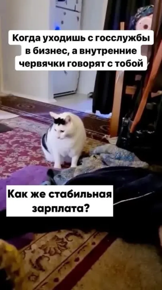 жиза как есть