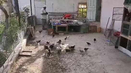 Все боятся КОРОНАВИРУС_а  🐓🐥🐣 ♛ 😜😉► #Юмор ◄ ╬₪🤣😉●👍🏻 #Прикол