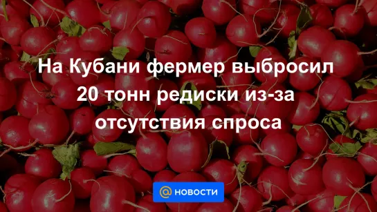 В Краснодарском крае фермер выбросил 20 тонн редиски