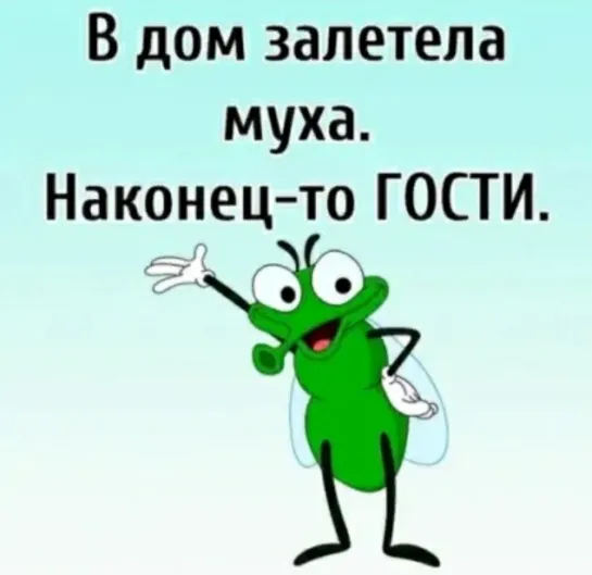 ЮМОР  Прилетела муха. Наконец -то ГОСТИ  )😹🤣🤣))🦟🦟🦟🦟