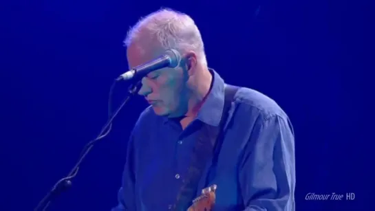 David Gilmour /Coming Back To Life/