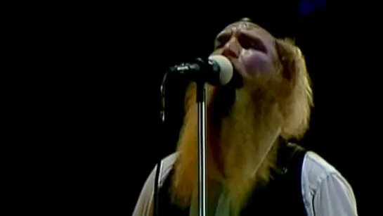 ZZ TOP /She Loves My Automobile/ 1980 archive