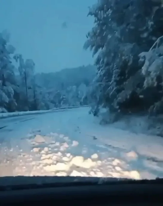 Видео от Сила в правде