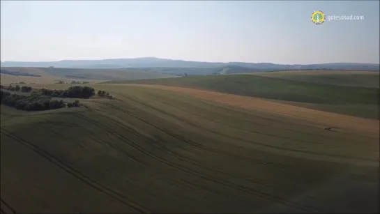 Пермакультура КАК ПОСАДИТЬ ДЕРЕВЬЯ В ЗАСУШЛИВОМ КЛИМАТЕ, Удерживание воды в горной местности.