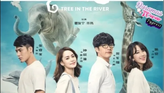 Tree In The River  Episodio 20 Final DoramasTC4ever