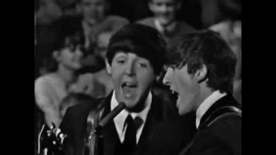 The Beatles - She Loves You