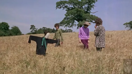 PINK FLOYD. The Scarecrow.