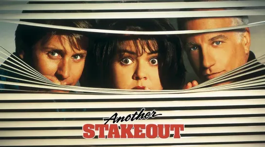 Слежка 2: Снова в Засаде (Another Stakeout)_1993_720p