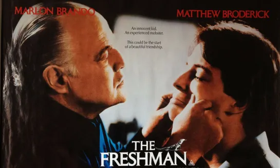 Новичок (The Freshman)_1990_720p