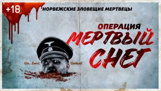 Операция «Мёртвый снег» (2009)