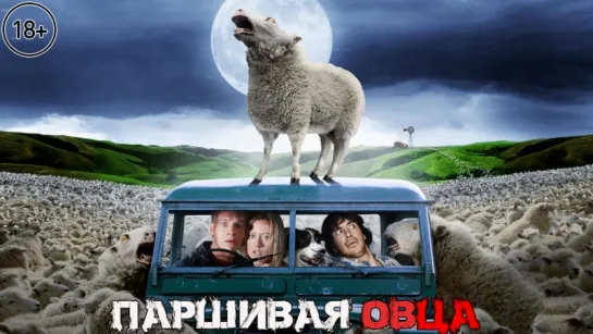 Паршивая овца / Black Sheep