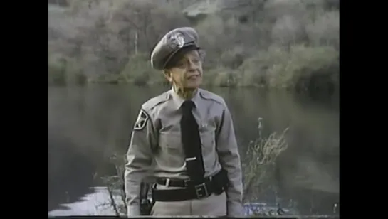 TV Movie - Return To Mayberry 1986 in english eng