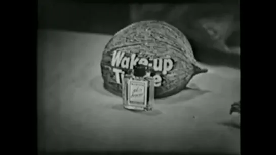 Twenty Questions (January 18, 1952) episode in english eng