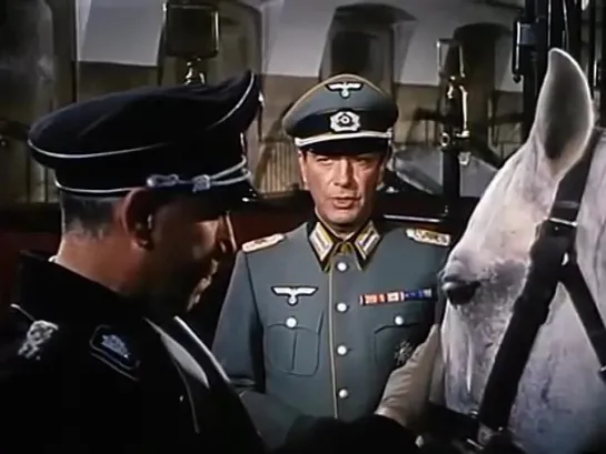 Miracle of the White Stallions (1963) in english eng