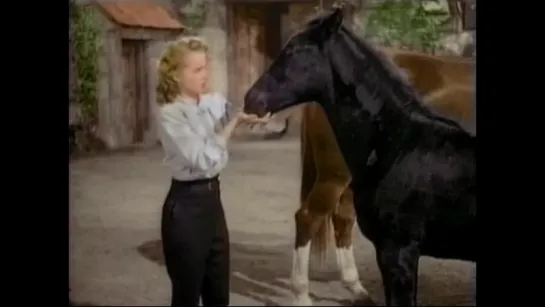 Mona Freeman - Black Beauty 1946