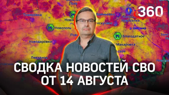 Политолог Михаил Онуфриенко | Сводка новостей СВО от 14 августа