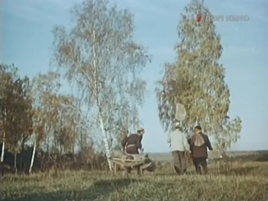 Совершенно серьёзно (1961)