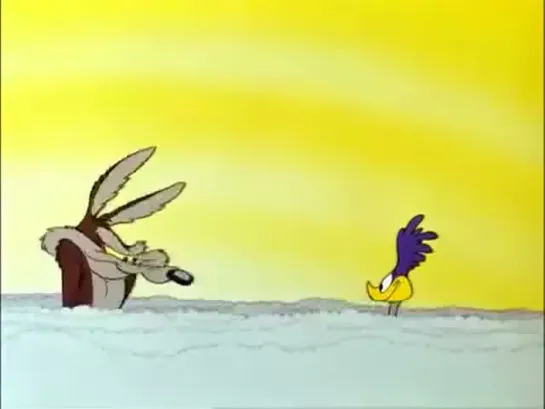 Road Runner and Coyote Cartoon Complication in english eng