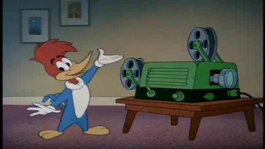 Woody Woodpecker Disc 8 in english eng HD