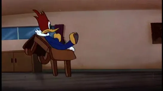 Woody Woodpecker Disc 7 in english eng HD