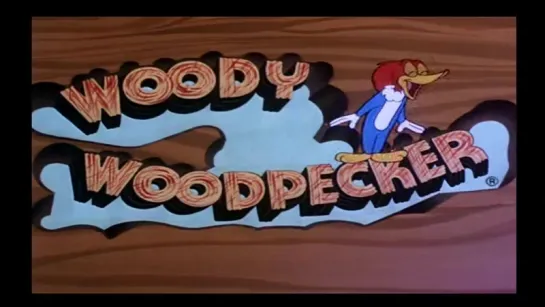 Woody Woodpecker Disc 5 in english eng