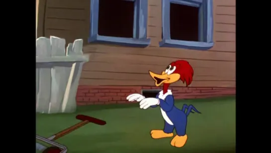 Woody Woodpecker Disc 1 in english eng HD