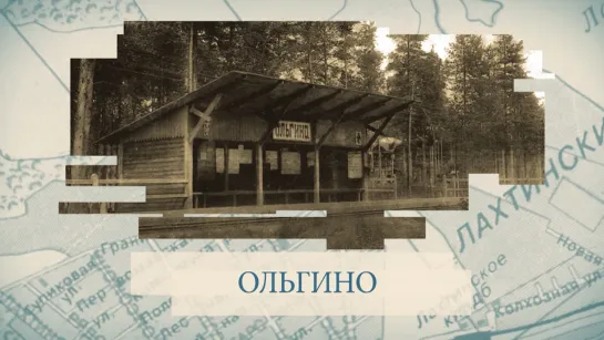 Ольгино / «Малые родины большого Петербурга»