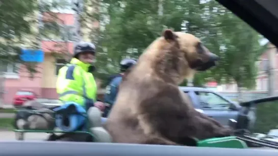 Попутные грузоперевозки в Архангельске Котлас Северодвинск Коряжма Вельск