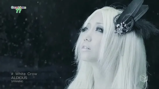 ALDIOUS - White Crow