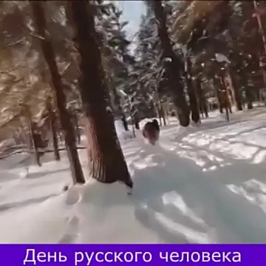 СМЕХОВ Video