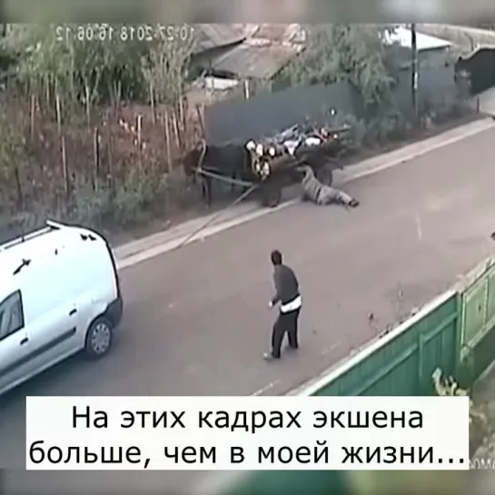 СМЕХОВ Video