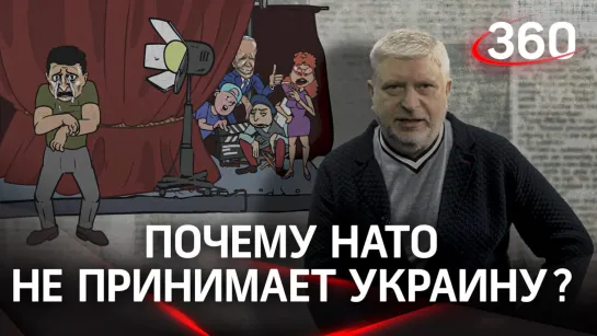 Почему НАТО не спешит принимать Украину? Кто притушил пыл Зеленского срочно вступить в альянс?