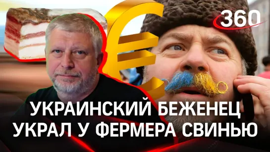 Украинский беженец пустил на сало свинью на миллион евро - украл у фермера из Эстонии