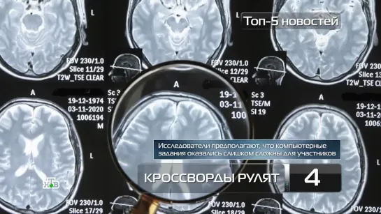 Что полезнее: старые кроссворды или компьютерные тренажеры для памяти