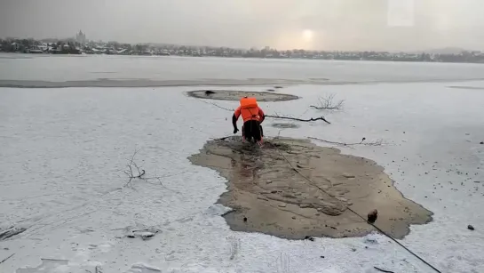 Спасение собаки в Нижнем Тагиле