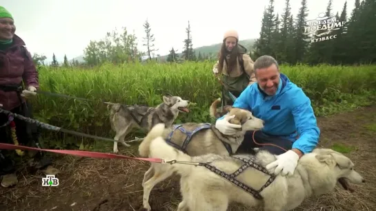 Спортивные походы с собаками