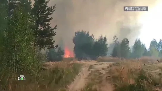 Смог от лесных пожаров добрался до Москвы