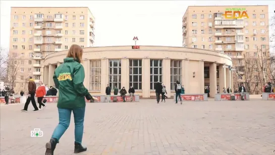 Наш эксперимент с хлебом и плесенью