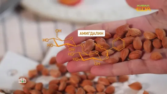 Ядра косточек из абрикосов