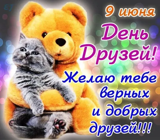 ꧁ღ╭⊱🌹💜💐✨Спасибо за дружбу!✨💐💜🌹⊱╮ღ꧂