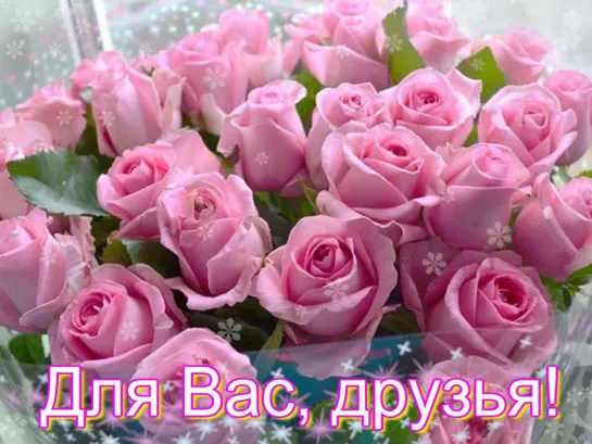 ✦░░ ★˜”*⊰❤⊱ღ  Эти розы для ДРУЗЕЙ    *⊰❤⊱ღ✦░★˜⊰❤⊱