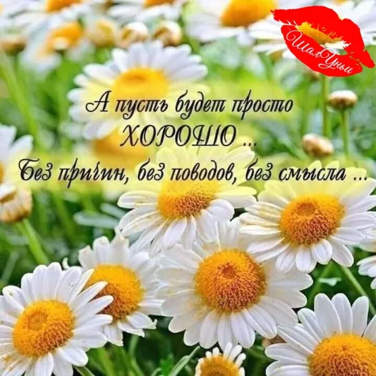 ╭•⊰✨🌺✨₪╬►•⊰ От меня! •⊰◄╬₪✨🌺✨⊱•╮