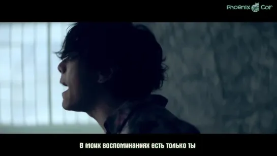 [Phoenix Cor] Park Hyo Shin  - Goodbye (рус. саб.)