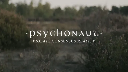 PSYCHONAUT - Violate Consensus Reality (Acoustic Version) [Official Videoclip] 2023