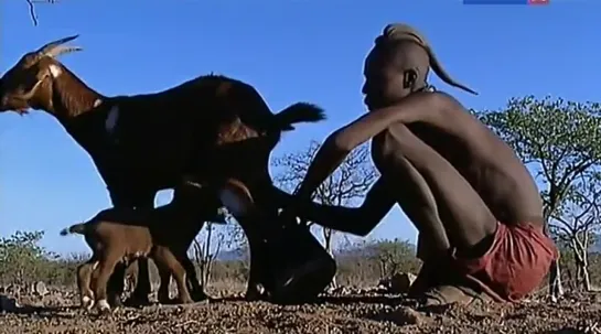 Жизнь по законам саванны. Намибия / The last hunters in Namibia (2013)