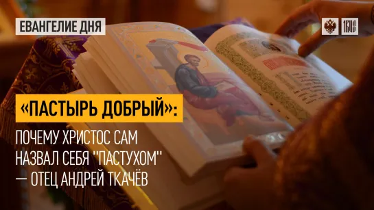 "Пастырь добрый": Почему Христос Сам назвал Себя "пастухом" — отец Андрей Ткачёв