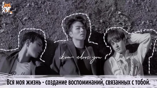 [FSG FOX] iKON - ADORE YOU |рус.саб|