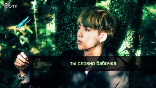 [FSG STORM] BTS – Butterfly |рус.саб|