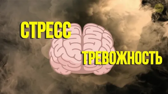 80 причин, почему ваше тело уникально