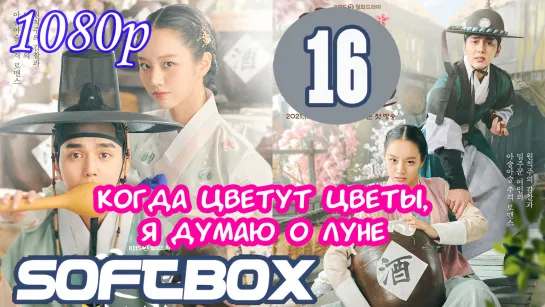 Когда цветут цветы, я думаю о луне 16 серия ( Озвучка SoftBox )